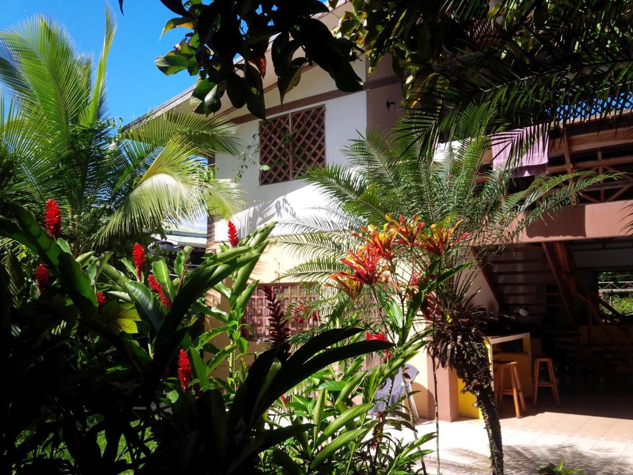 Pagalu Hostel Puerto Viejo de Talamanca Экстерьер фото